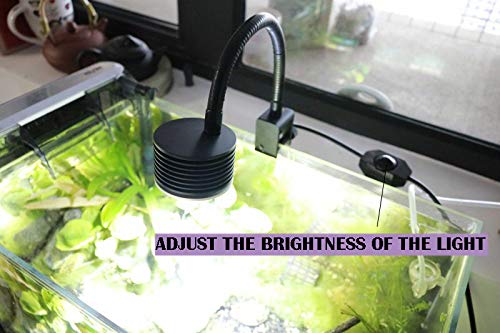 LED Aquarium Lighting Nano Fish Tank Light for Saltwater Freshwater Planted Tank Coral Reef (Freshwater Asta 20)