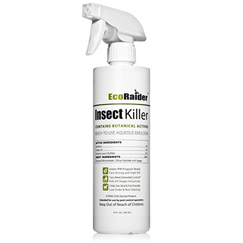 West Bay Retail | POWERFUL CARPET MOTH KILLER KIT | Natural Biodegradable Treatment by MothPrevention - 1 Room Treatment | NOTE: CONTAINS PESTICIDES