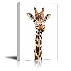 Giraffe Making A Face - Canvas Art