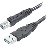 Belkin Hi-Speed USB 2.0 Cable (10 Feet)