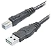 Belkin (F3U133b10) Hi-Speed USB A/B Cable, USB Type-A and USB Type-B (10 Feet) primary