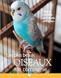 Les plus beaux oiseaux de compagnie by 
