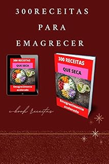 Livro 300 receitas para emagrecer : receitas alimenticima
