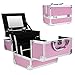 Mini Makeup Train Case with Mirror Portable Aluminum Cosmetic Organizer Box 2 Trays Pink