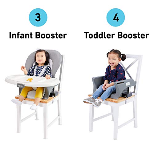 Graco Made2Grow 6 in 1 High Chair | Converts to Dining Booster Seat, Youth Stool, and More, Tasha