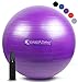 SmarterLife Exercise Ball Yoga Ball for Fitness, Balance, Stability, or Pregnancy, Gym Ball for Core Workout, Physical Therapy, Yoga Ball Chair for Office, Anti-Slip Anti-Burst