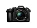 Panasonic LUMIX G85MK 4K Mirrorless Interchangeable Lens Camera Kit, 12-60mm Lens w/Rode Video Micro + 128GBthumb 1