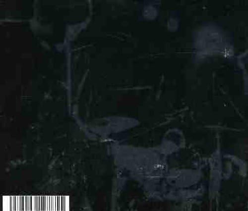 ナンバーガール（Number Girl）『OMOIDE IN MY HEAD 2～記録シリーズ2～』