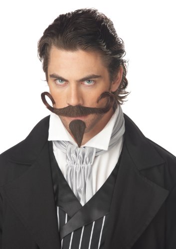 California Costumes Men's The Gambler Moustache & Chin Patch Costume Accessory