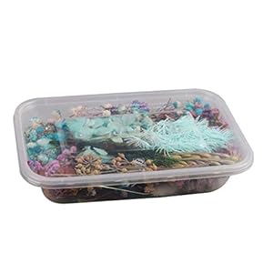 Windy5 1 doos gedroogd bloemenmateriaal fotolijst ornament bruiloft huisdecoratie DIY handgemaakt kunsthandwerk…