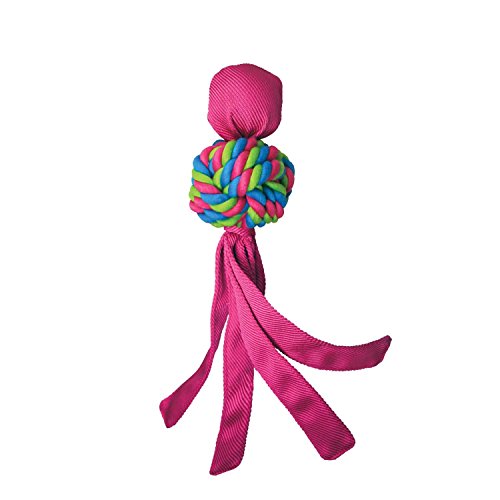 KONGWubba Weaves - Small (Assorted Colors)