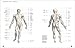 Essential Anatomy: For Healing and Martial Arts