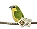 Maui Parrotbill- Audubon Plush Bird (Authentic Bird Sound)