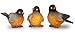 BANBERRY DESIGNS Robin Bird Figurines - Birds Decoration - Set of 3 Styles - Hand Painted Fine Details - Home Decorations - Durable Polystone - 3
