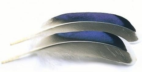 Veniard Mallard Duck Wing Quills Blue White Tip Fly Tying Feathers (1 Piece)