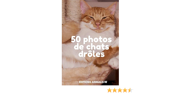 50 Photos De Chats Droles French Edition Animals W Editions Amazon Com Books 50 Photos De Chats Droles French Edition Animals W Editions Amazon Com Books