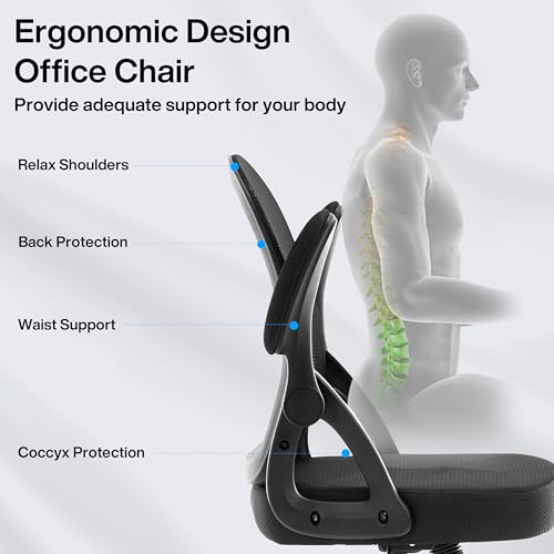 Fizzin Ergonomic Office Chair, Home Desk Chair, Adjustable Lumbar Support and Padded Seat, Breathable Mesh Computer Chair with Reversible Padded Armrests, Home Office Chair (Black)