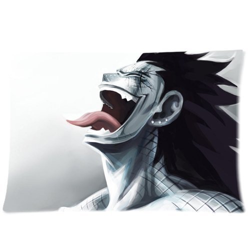 Gajeel Redfox Fairy Tail Pillowcases Custom Pillow Case Cushion Cover 20 X 30 Inch Two Sides by The classic fashion Pillow Case