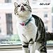 azuza Breakaway Cat Collar with Bell, 2 Pack Safety Buckle Cat Collars with Cute Bowtie, Flamingo Pattern, Adjustable from 8