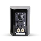 Aperion Audio Ribbon