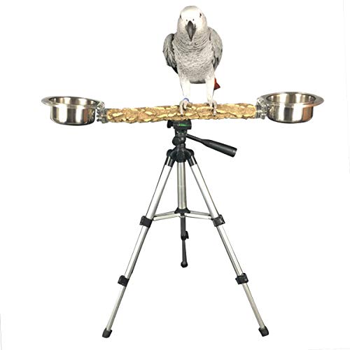 Compare price to freestanding bird perch