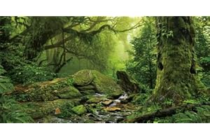 GOTLOS Tropical Forest Decor Aquarium Background, Green Natural orest Tree Reptile Habitat Background Terrarium Background, Rainforest Aquarium Background 48X24IN with 10 EVA Double-Sided Tape