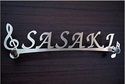 Amazon 人気表札 ステンレス切文字表札 化粧ビス 戸建 シンプルなデザイン 表札 おしゃれ ひょうさつ 標札 門札 アルファベット 2点ボルド固定 新築祝い 引越 建売 表札長さ300mm ヘアライン デザインi ブラケットライト