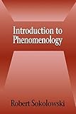Introduction to Phenomenology
