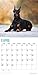 2020 Doberman Pinschers 16 Month 12 x 12 Wall Calendar by Bright Day Calendars (Doberman Pinschers 2019)