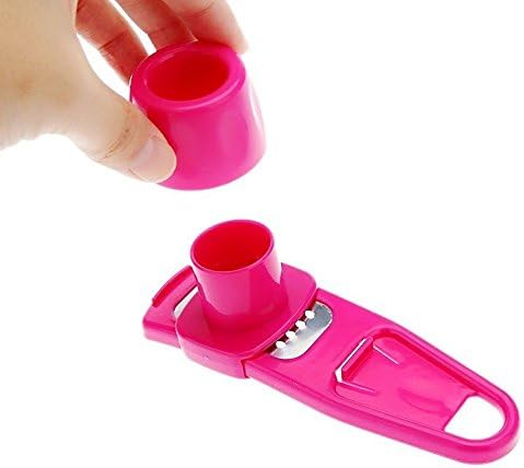 Gadget Depot Mini Garlic / Ginger Press (pink)