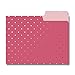Graphique Flamingo Pink File Folder Set – File Set Includes 9 Folders and 3 Unique Flamingo and Polka Dot Designs, Embellished w/ Gold Foil on Durable Triple-Scored Coated Cardstock, 11.75