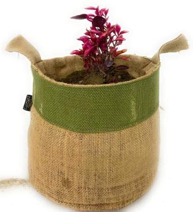 Kraft B Small Plants Grow Bag (Set of 2).