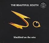 Disco de The Beautiful South: «BLACKBIRD ON THE WIRE CD UK GO DISCS 1997» (Anverso)