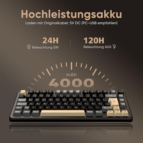RedThunder K75 Wireless Mechanical Gaming Keyboard with German QWERTZ Layout 81 Keys, 3-Mode BT/2.4GHz/USB-C, RGB, 5-Layer Damping Structure, Hot-Swap, 4000mAh Battery, for Windows, Mac, Xbox