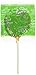 Caramel Apple Pops - 20 Count