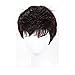 DINIFER® Quality Men Short Cool Lolita Black Dark Brown Wig Daily Wig