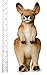 VIAHART Joey The Baby Kangaroo | 13 Inch Baby Kangaroo Stuffed Animal Plush | by Tiger Tale Toys