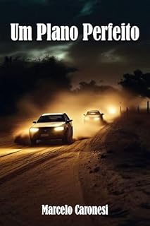 Livro Um Plano Perfeito