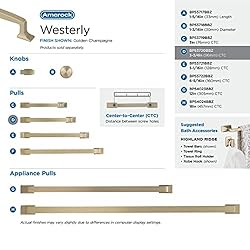 Amerock | Cabinet Pull | Golden Champagne | 3-3/4