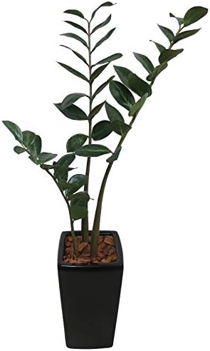 人工観葉植物 大型 金銭樹 ザミフォーリア ザミオクルカス 110cm 鉢植 Ct触媒 フェイクグリーン 観葉植物