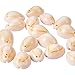 Pandahall 50pcs Spiral Seashell Beads Beach Cowrie Sea Shells White Natural Shell Pendants Beads Charms Beads for Jewelry Making, Party Wedding Decor, and Craft Project (18~20x13mm)