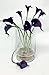 Angel Isabella 10pc Set Real Touch Calla Lily-Feels just Like Real (Purple)