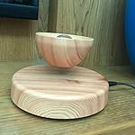 Creative Magnetic Levitating Air Bonsai Pot