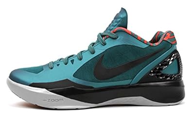 nike zoom hyperdunk low