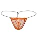 ANJUNIE Men's Transparent Thong Underwear Low Rise See Through Mesh Thong Soft Brief G-String Underpant