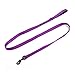 Max and Neo Reflective Nylon Dog Leash - Purple, 4 Feet
