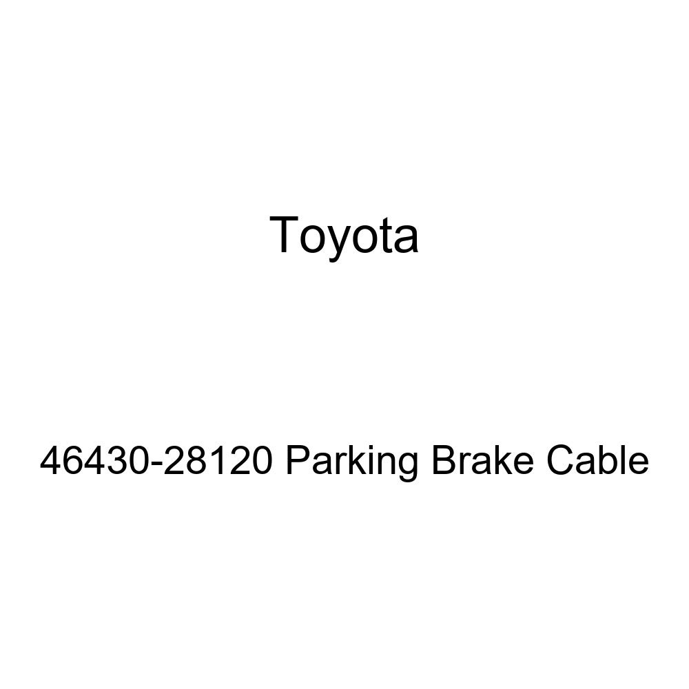 46430 essay 08 image