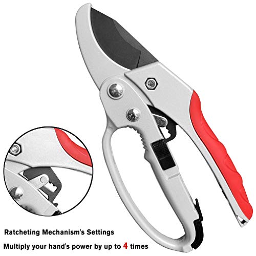 gonicc 8" Professional SK-5 Steel Blade Ratchet Anvil Pruning Shears(GPPS-1013), Ratcheting Mechanism, Anvil Groove Design, Reinforced Design Handle, Garden Hand Pruners.