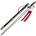 ICNBUYS Chinese Eight Trigrams Tai Chi Sword Flexible with Free Carrying Case Blade Length 28