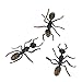 3Pcs Black Plastic Ant Joke Trick Toy